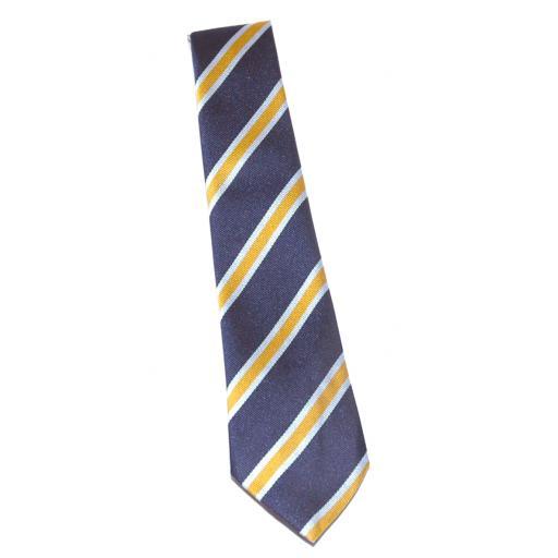 Caddington Village Tie